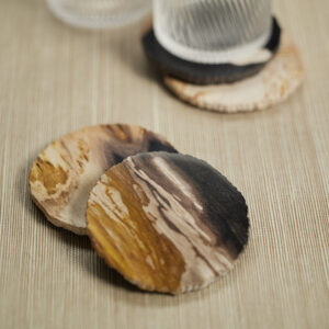 Petrified Wood Drink Coasters -Set of 4